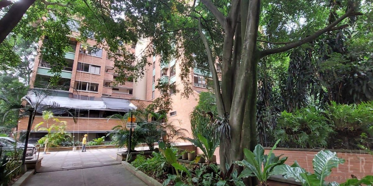 IMG-20240712-WA0077-1