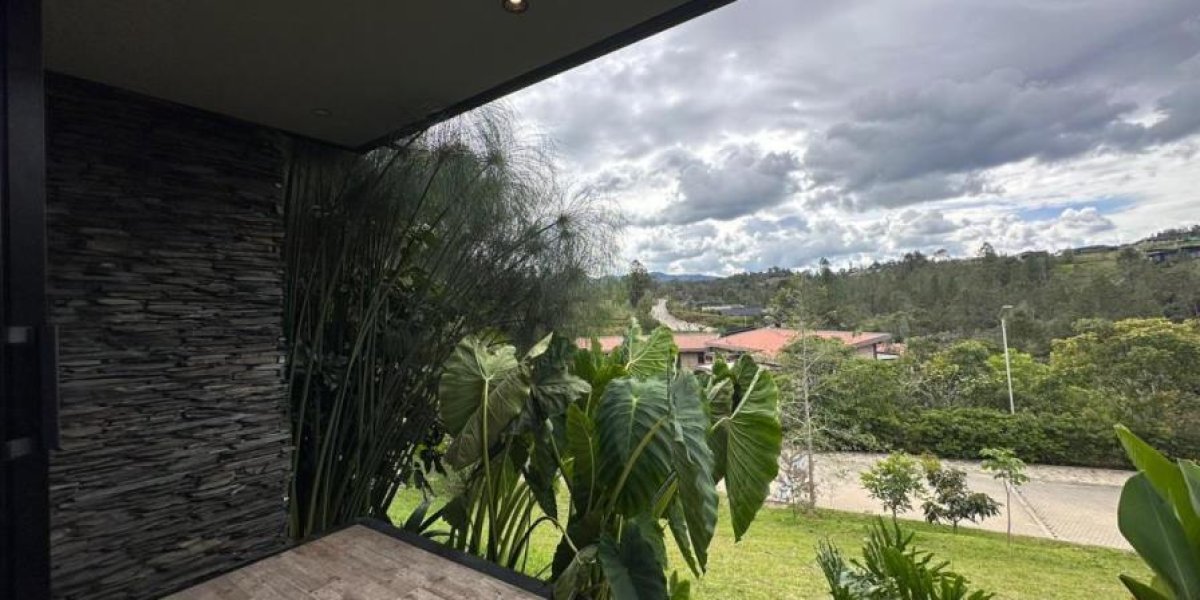 Imagen-de-WhatsApp-2024-07-19-a-las-18.47.03_9225bc74