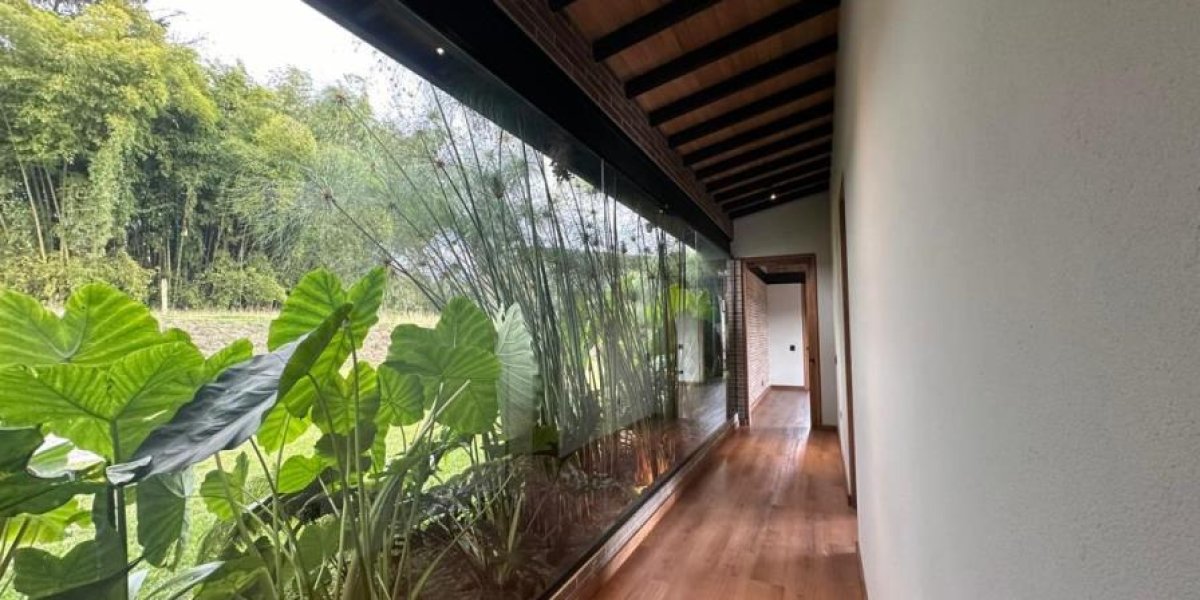 Imagen-de-WhatsApp-2024-07-19-a-las-18.47.03_a5e21745