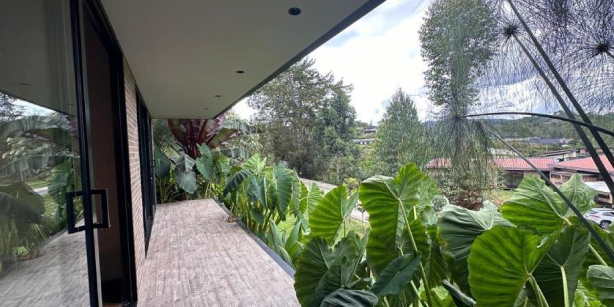 Imagen-de-WhatsApp-2024-07-19-a-las-18.47.04_e84f1379